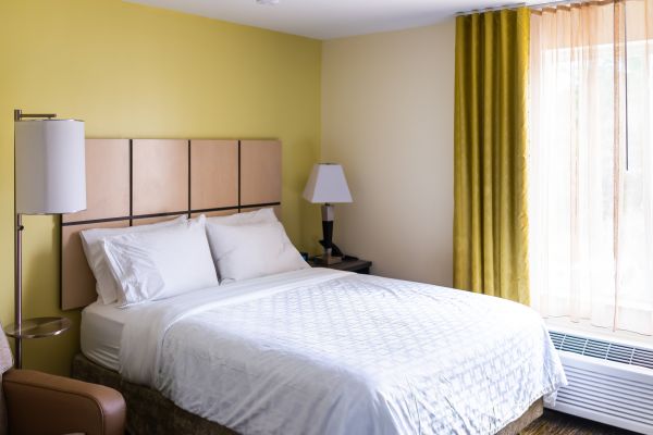 Hotel Painting in Albany